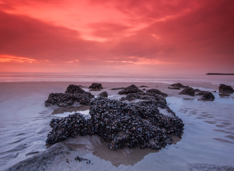 Zonsondergang Oostende, België