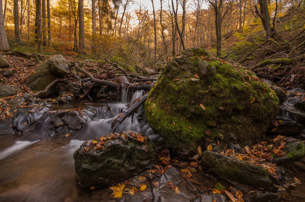 Ninglinspo, Watervallen, Waterfalls, River, Wallonie, Belgique, Belgium, België, Autumn, Herfst,