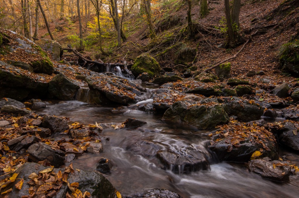 Ninglinspo, Watervallen, Waterfalls, River, Wallonie, Belgique, Belgium, België, Autumn, Herfst,