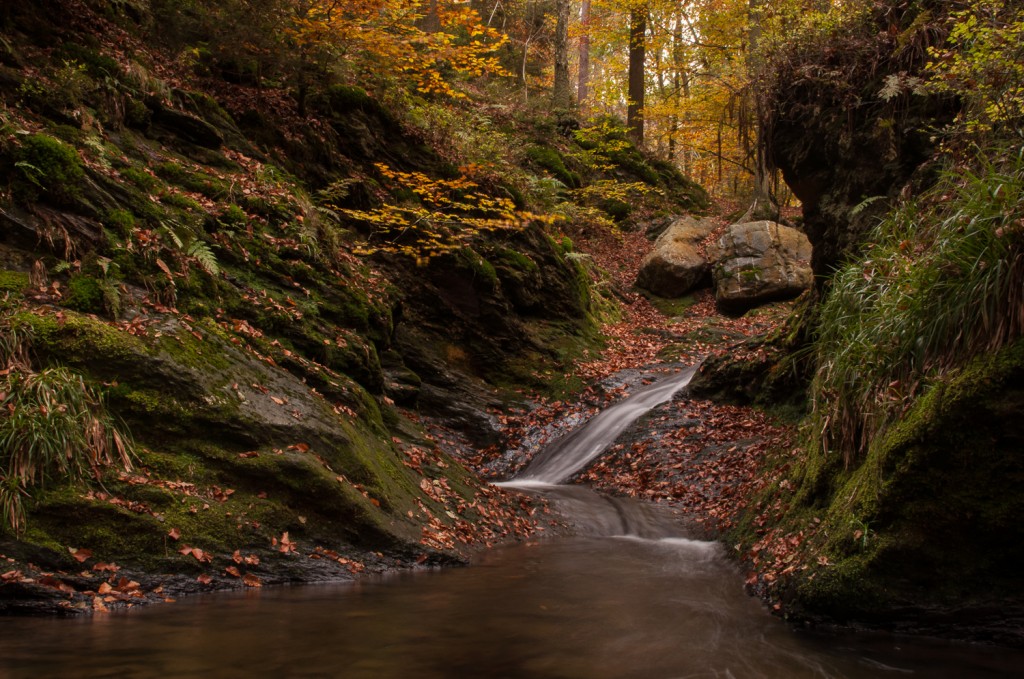 Ninglinspo, Watervallen, Waterfalls, River, Wallonie, Belgique, Belgium, België, Autumn, Herfst,