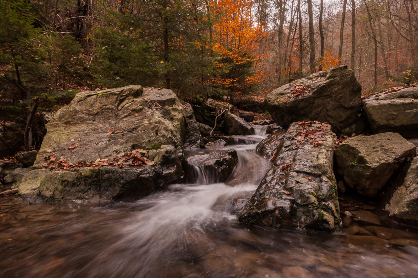 Ninglinspo, Watervallen, Waterfalls, River, Wallonie, Belgique, Belgium, België, Autumn, Herfst,