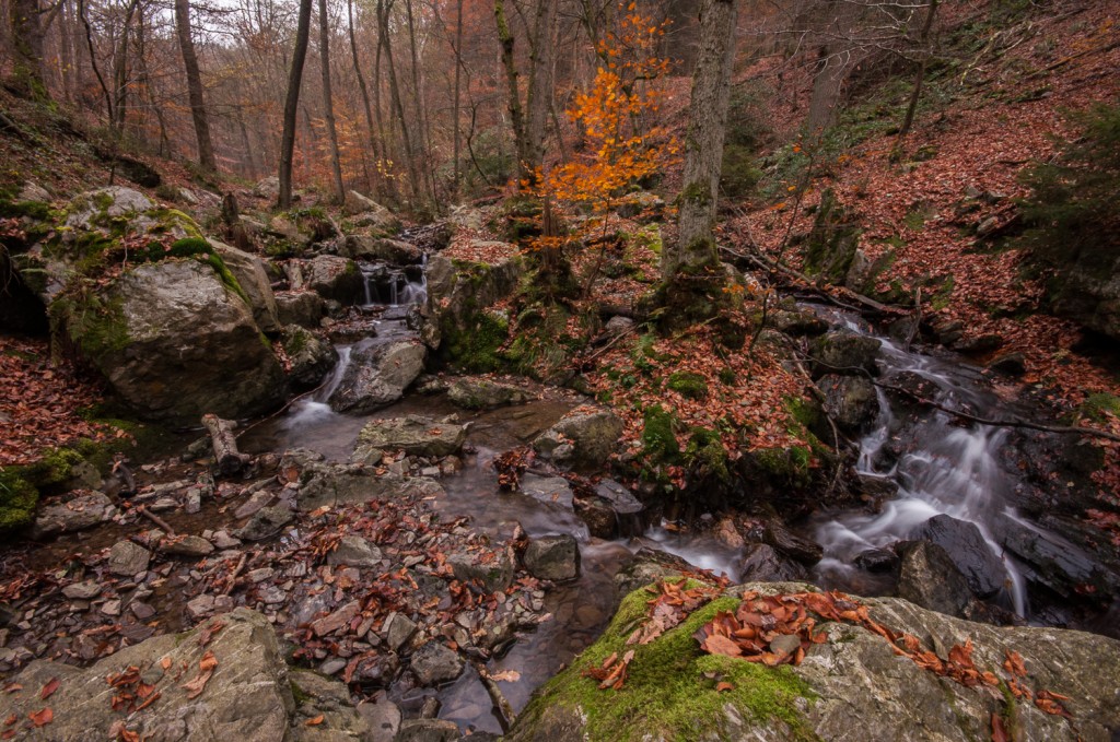 Ninglinspo, Watervallen, Waterfalls, River, Wallonie, Belgique, Belgium, België, Autumn, Herfst,