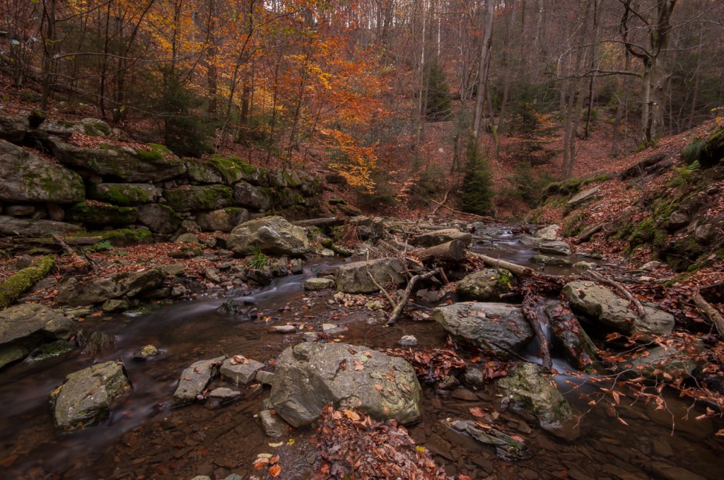 Ninglinspo, Watervallen, Waterfalls, River, Wallonie, Belgique, Belgium, België, Autumn, Herfst,