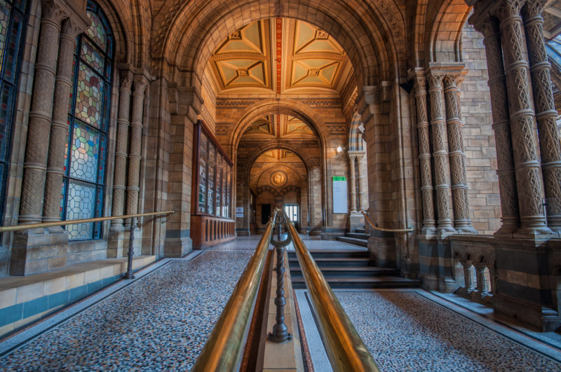 Natural History Museum in London, UK