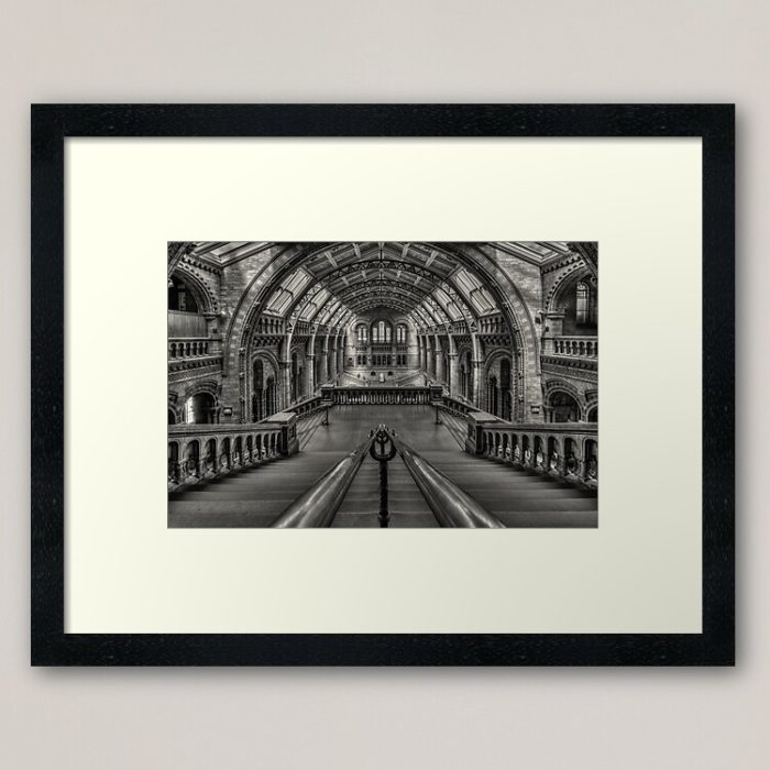 Framed Art Print - Natural History Museum London (England)