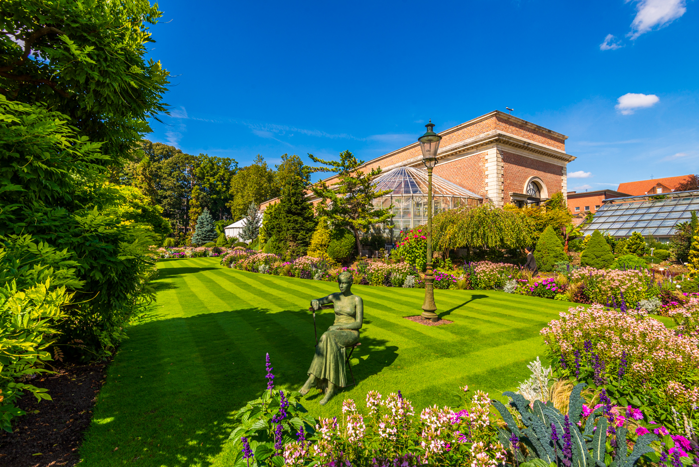 Hortus Botanicus Lovaniensis De Kruidtuin In Leuven Bert Beckers