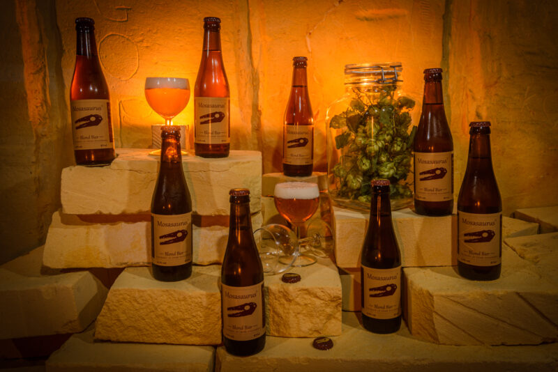 Mosasaurusbier