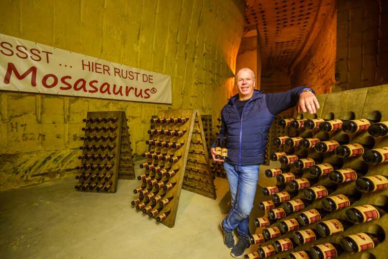 Mosasaurusbier